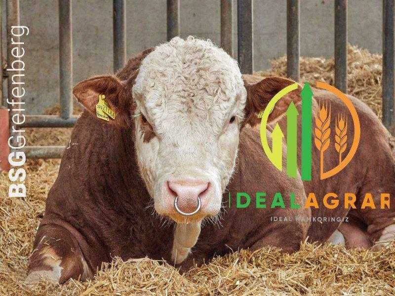 VILOFOSS mineral ozuqalari, Premiks, yemlar, IDEALKORM