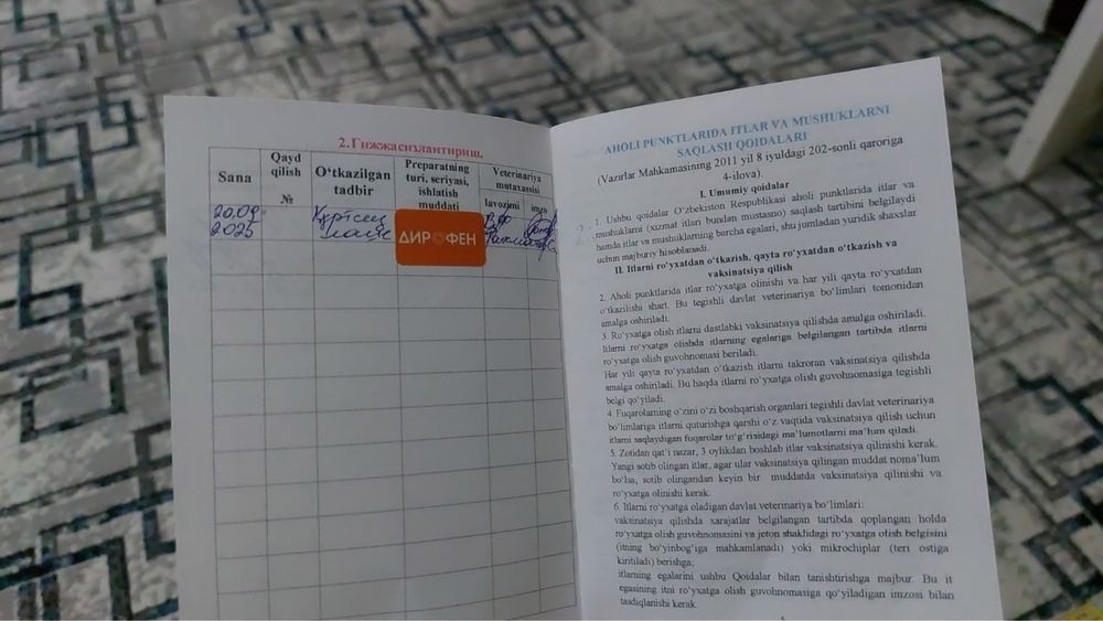 Продаётся собака породы хаски