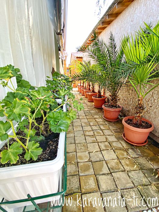 КараванатаТИ под наем, Къмпинг Созопол Еко