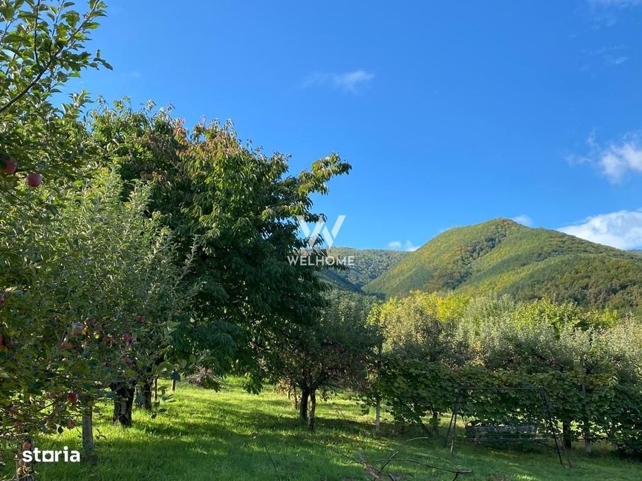 Teren intravilan 2100 mp - Valea Avligului - Sibiu