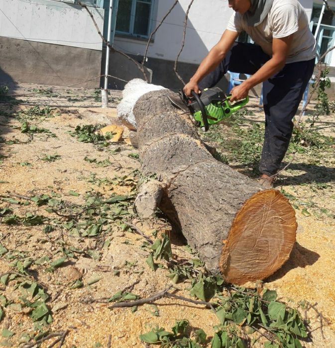Аренда прокат бензопила и электропила. benzopila город чирчик