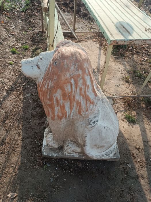 Sher haykal holati zoʻr 1 mln