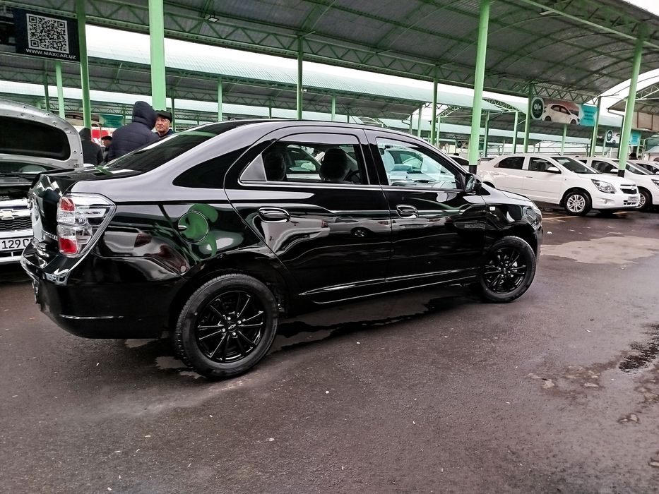 Kobalt 2026 model Stayl MSM