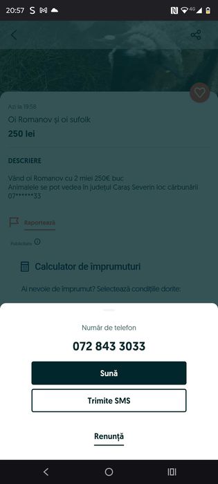 Oi Romanov și oi sufolk