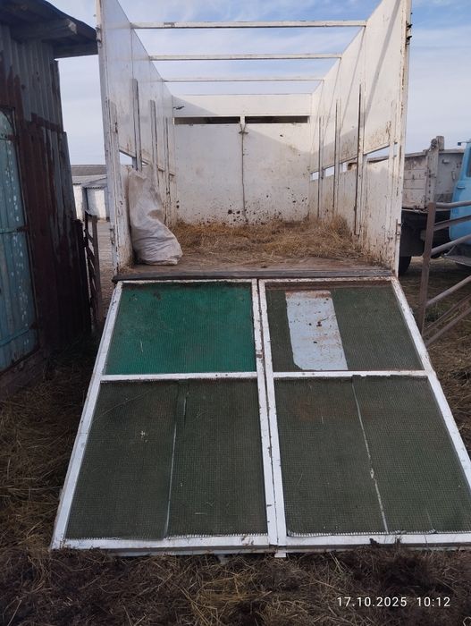 грузоперевозки скотовоз