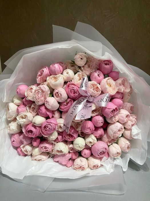 срочно     свежий бугын гана келды