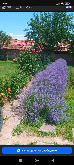 Извършване на озеленителни и почистващи услуги