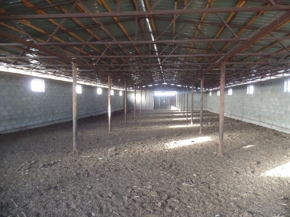 Fermer xojaligi satiladi