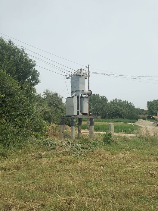 Tomorqa 12 sotux sotuxi 29 ml dan