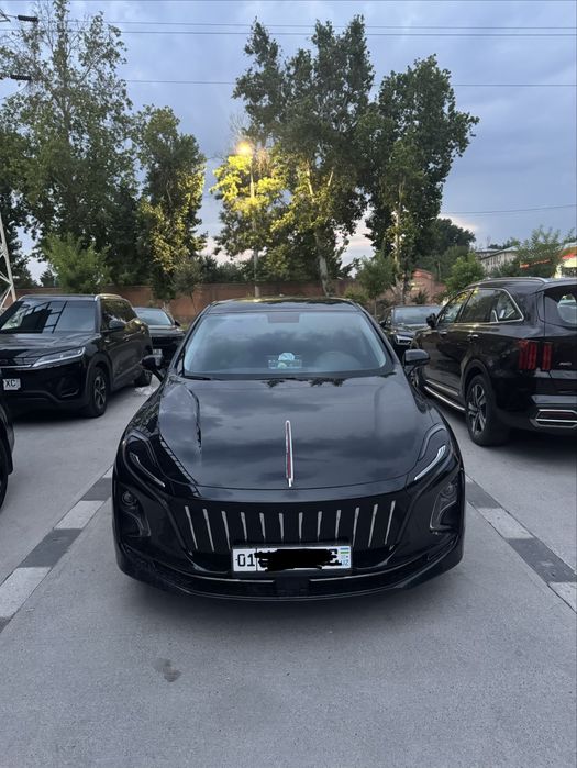 Hongqi eqm5 500tali