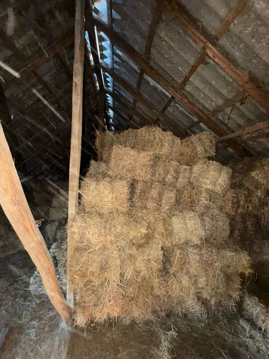 Vand baloti amestesc fan,lucernă