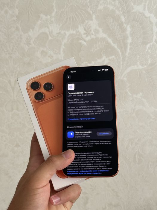 iPhone 17 Pro Max | 256GB | 100%