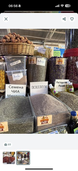Красная барбарис иранский.