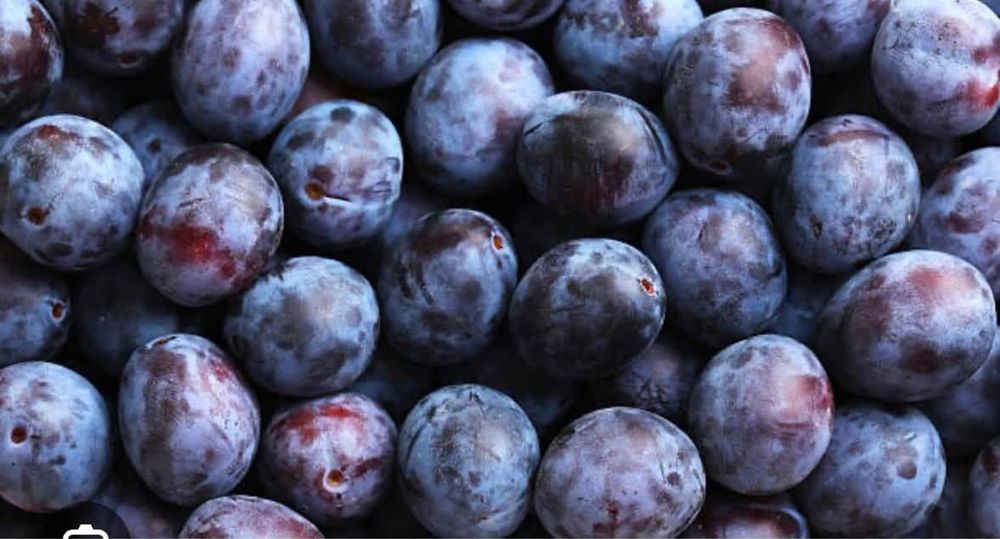 Vand prune de Tuica