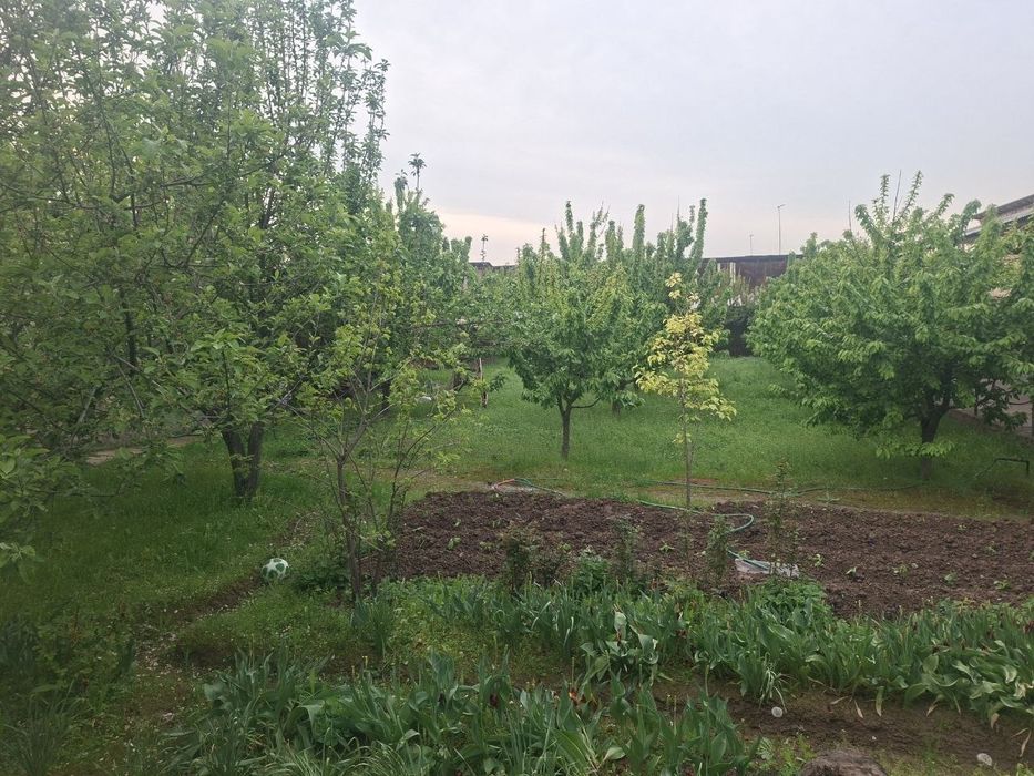 Toshkent tumani Kelesda hovli sotiladi