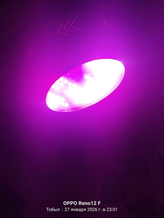 Продам фитолампу для растений.