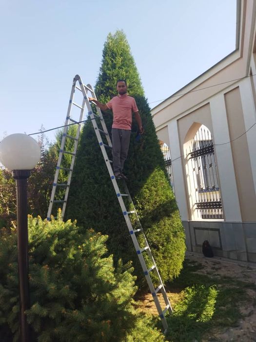 Арча кесиш Арча дорилаш