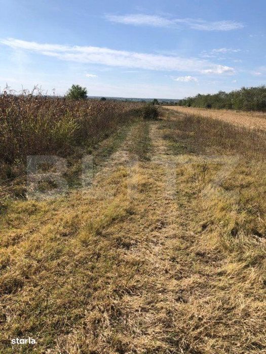 Teren 3222 mp, zona Dragomiresti