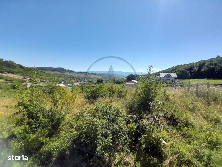 Teren 990Mp,Valea Jelnii