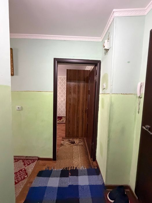 Шанхай Жароков 5