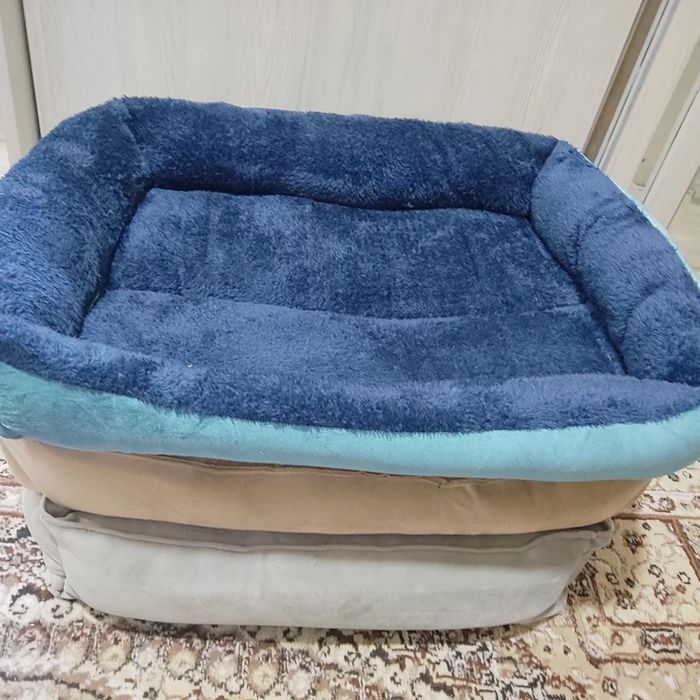 Акция лежанка для кошек и собак по 200 тысяч