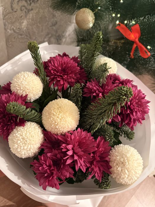 Адеми иысы кушти гулдер, хит цветы мокко