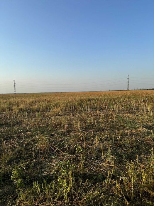 Vânzare teren extravilan arabil - Tâncăbești, comuna Snagov