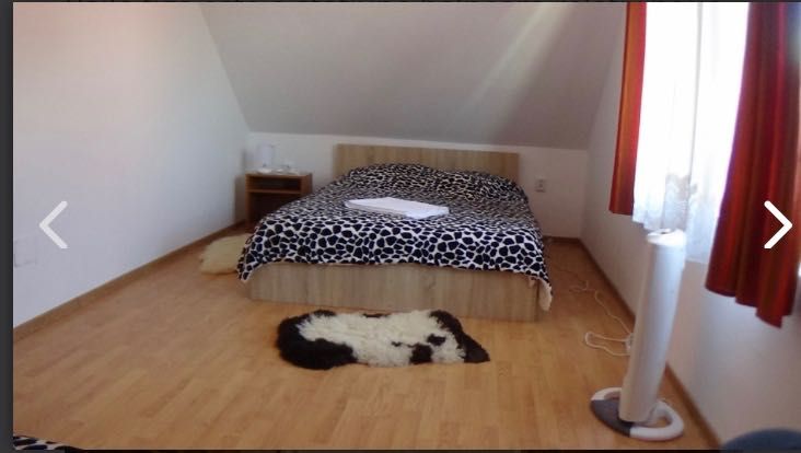 Cabana Carla  Baile Figa liber Craciun