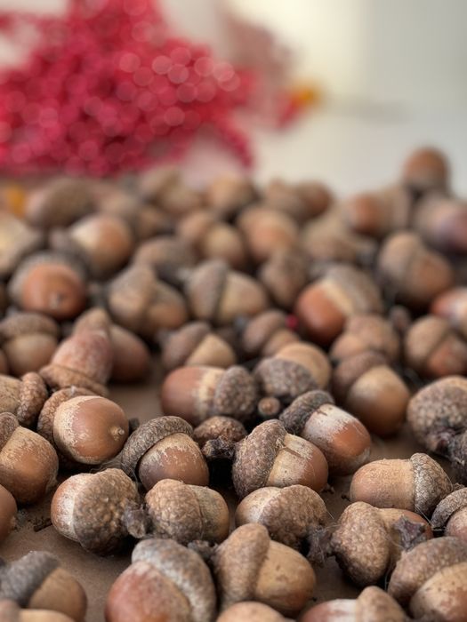 Ghinde ornamentale aranjamente craciun