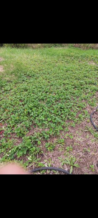 Продам дау С.О. Элеваторщик