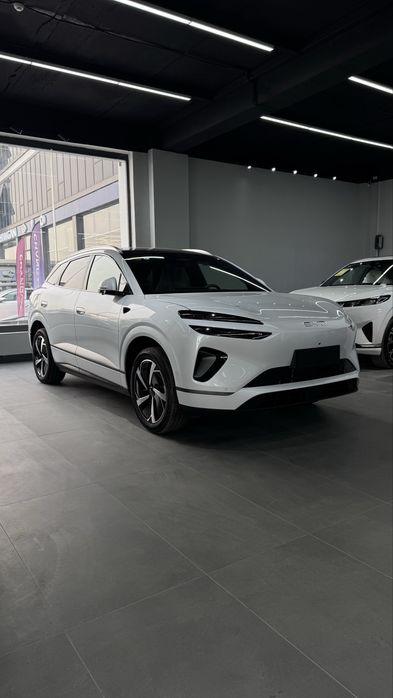 Byd selion 06 605 km electir