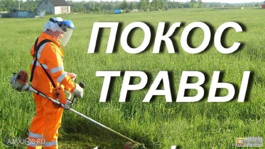 Покос Травы Треммером 24/7
