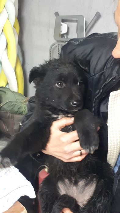 Найдена в Каскелене 5 апреля 2025 г.