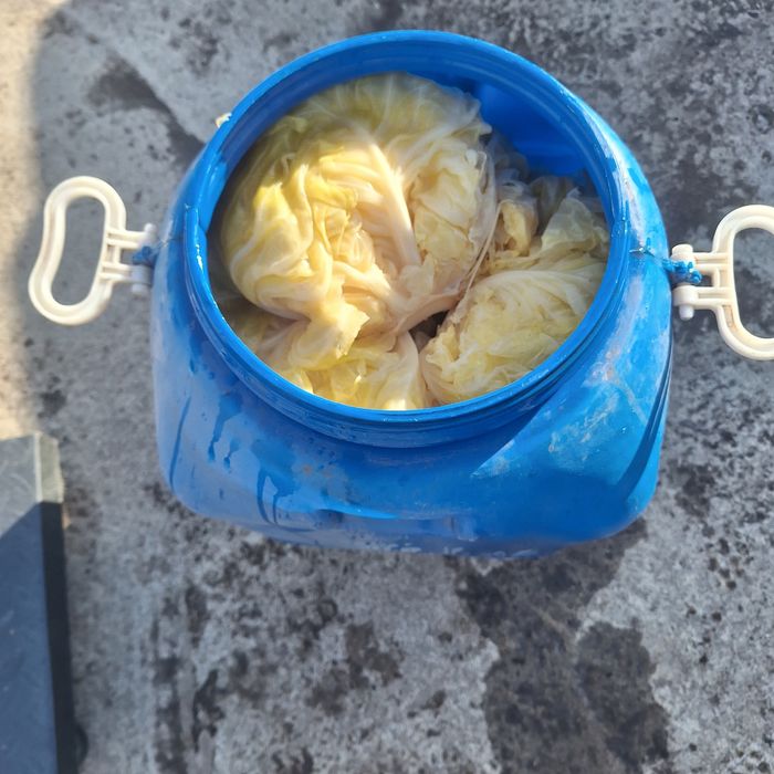 кисело зеле кьосе