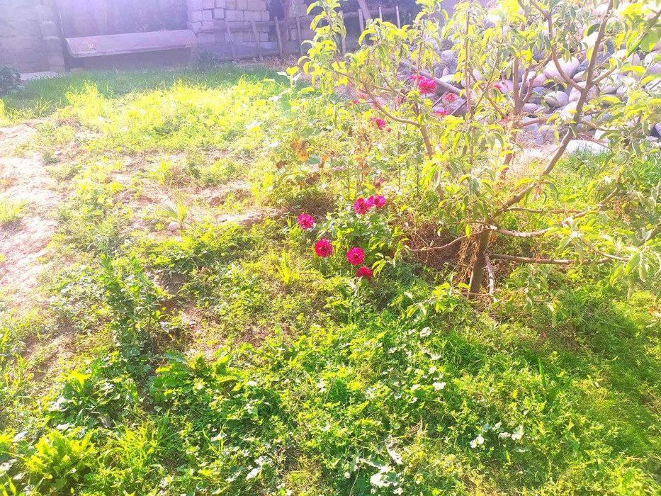 Участок 4 сотки КТО ХОЧЕТ СТРОИТЬ САМ Фасад 25 м. Кибрай  п.  2-линия