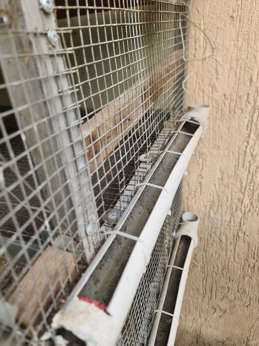 Клетка для перепелок