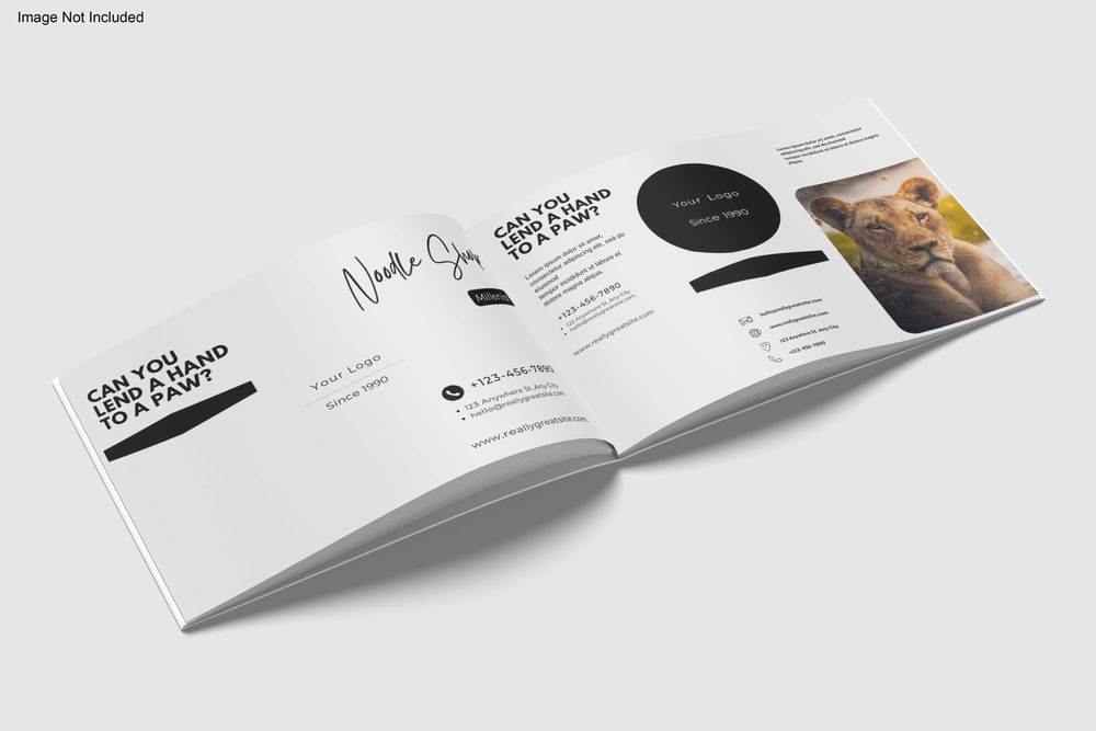 Brosuri / cataloage personalizate format A5, 8 pg. - 2,50 lei / buc