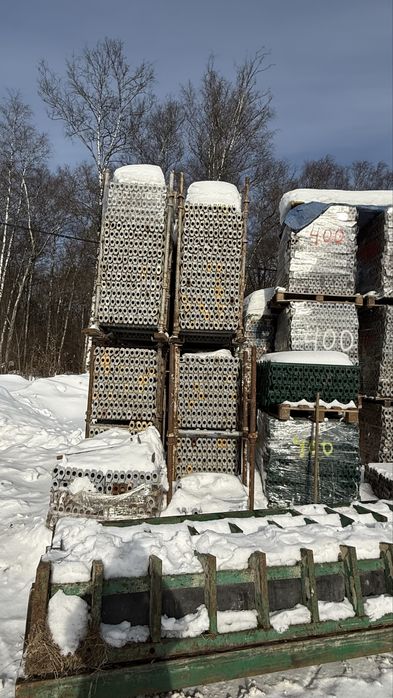 Леса чашенные cup-lock в аренду