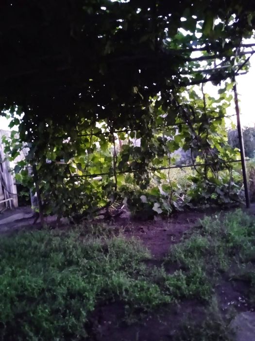 Продам дачу,19 маршрут