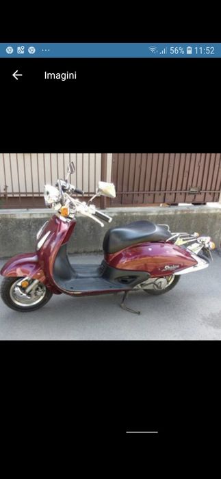 Honda Shadow (Joker) 49 cm (50 cm)