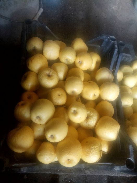 Яблоки местные мелкие (