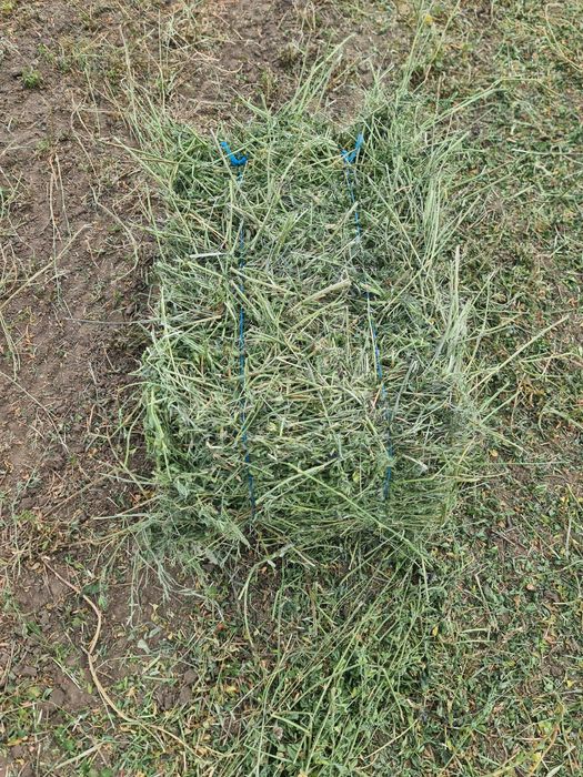 Vând baloti de Lucernă fân productie 2025 trasport la domiciliu