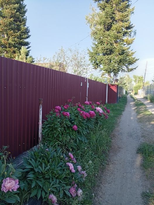 Участок в Н Бухтарме