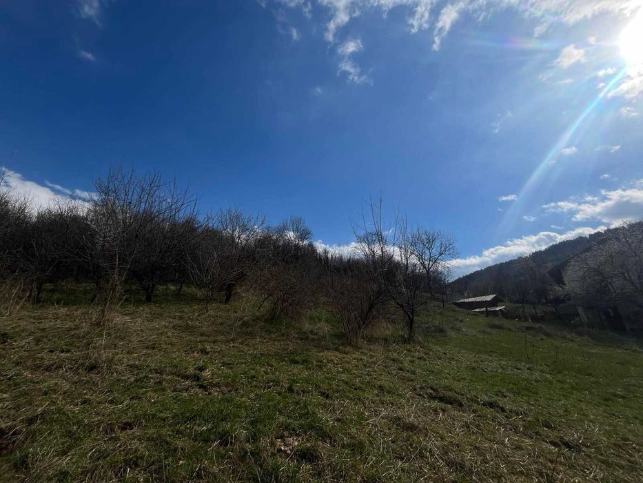 Парцел за продажба в с.Кралев дол