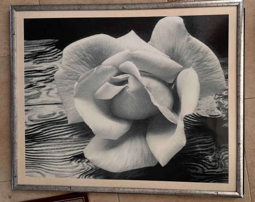 картина, постеры