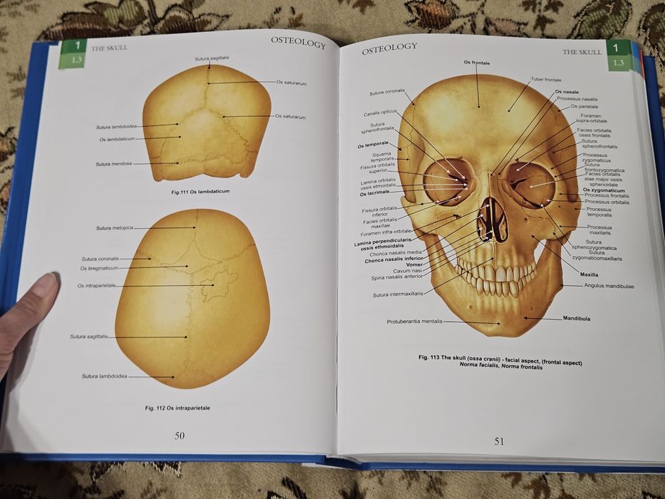 Atlase de anatomie Zanoschi