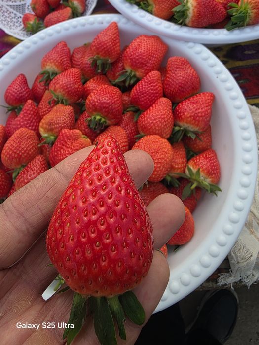 Andijonda Koreyskiy qulupnay sotiladi