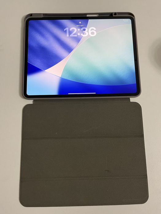 iPad Pro 13" (M5) 512гб 100%