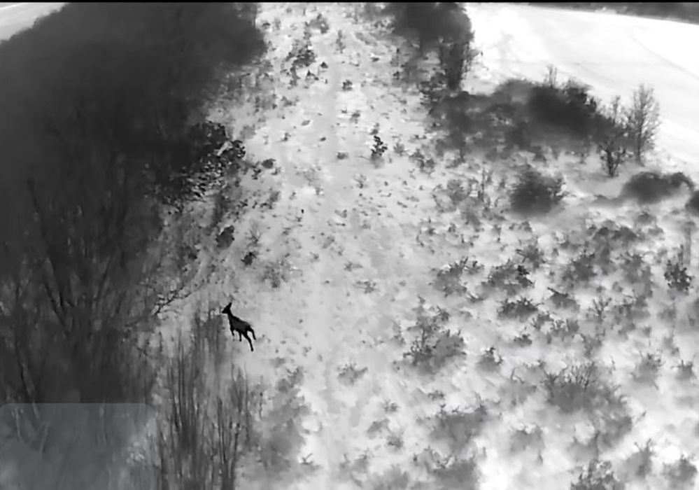 ТЕРМАЛЕН ДРОН заснемане и други