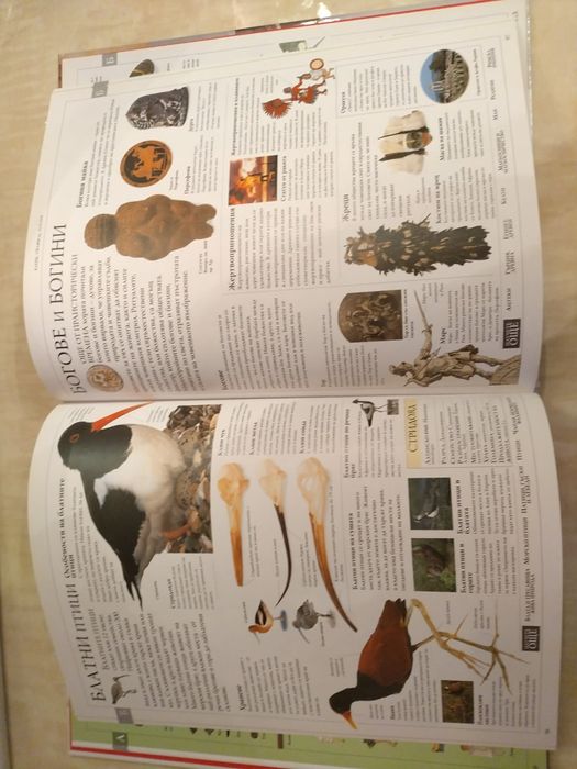 Илюстрова семейна енциклопедия